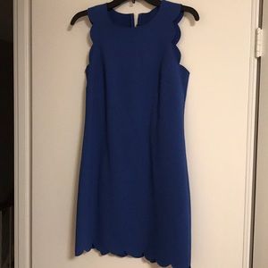 JCrew scalloped dress